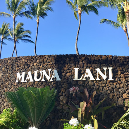 Photo of the Mauna Lani Resort Entrance Wall