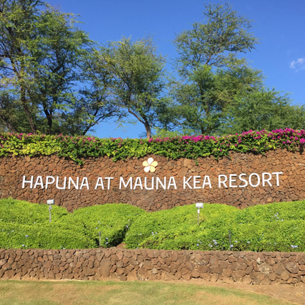 Photo of the Hapuna at Mauna Kea Resort Entrance Wall