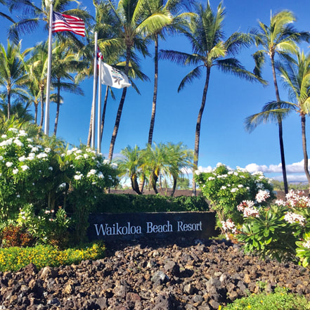 Photo of the Waikoloa Beach Resort Entrance Wall